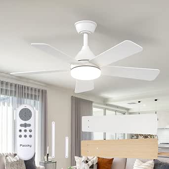 Passky Ventilador de techo elegante 42 pulgadas