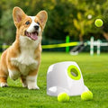 Lanzador Automático de Pelotas para Perros