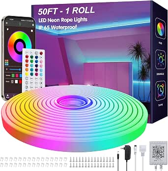 Cuerda de luces LED de neón 50 pies