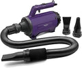 Secador para perros Blower Pet Dryer